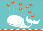 Twitter whale