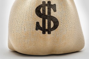 Moneybag