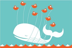 Twitter whale