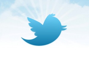 Twitter bird