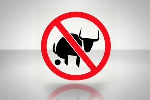 No BS Bull
