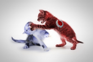 Vodacom vs Telkom