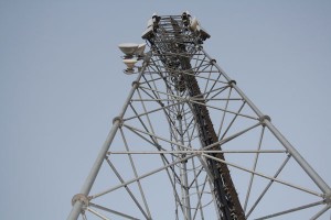 Wireless tower