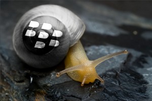 Blackberry snail