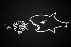 Merger acquisition