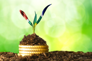 South Africa Growth