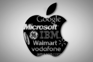Top brands 2013