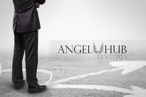 AngelHub Ventures
