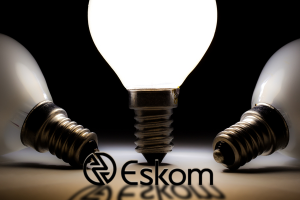 Eskom shadow