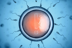 fertility warning