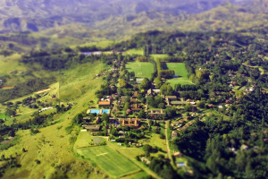 Kearsney College