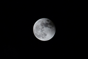 The moon