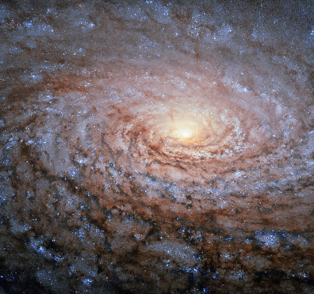 The arrangement of the spiral arms in the galaxy Messier 63, seen here in an image from the NASA/ESA Hubble Space Telescope, recall the pattern at the center of a sunflower.