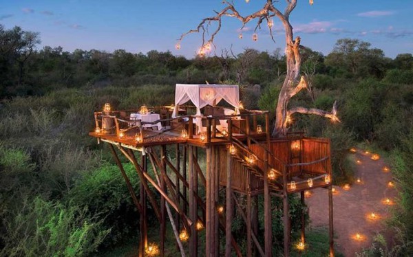 treehouse1
