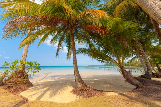 Anse Lazio