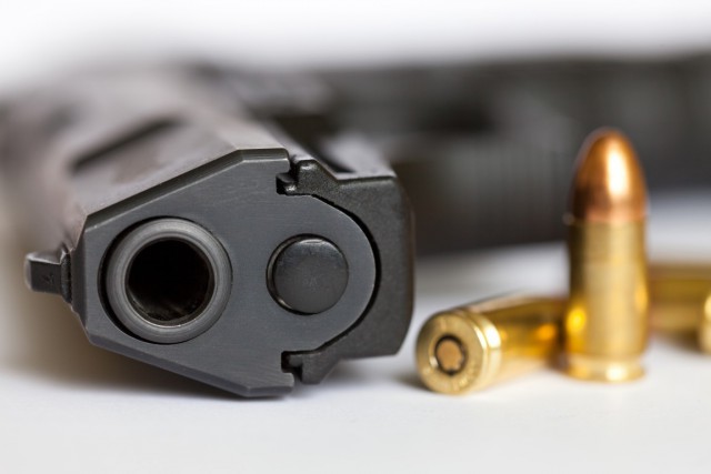 Gun