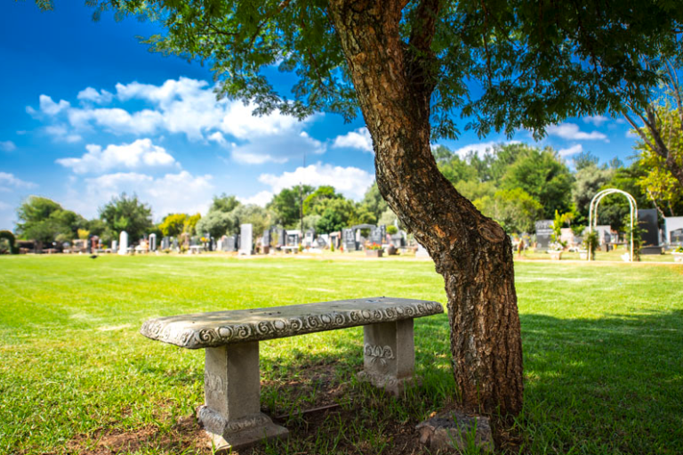This Company Is Turning R25 000 Grave Plots Into A Multi billion rand this-company-is-turning-r25-000-grave-plots-into-a-multi-billion-rand