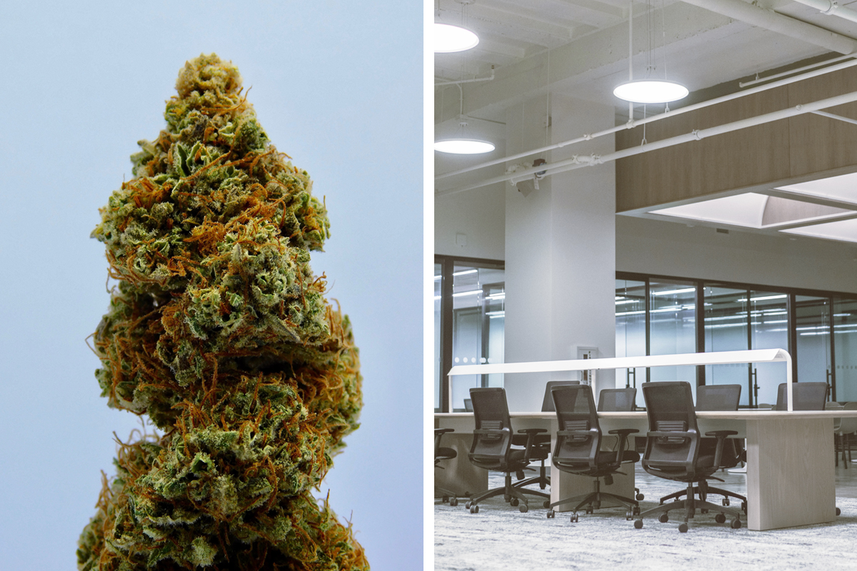 New court case deals with private cannabis use and what it means for workplaces in South Africa