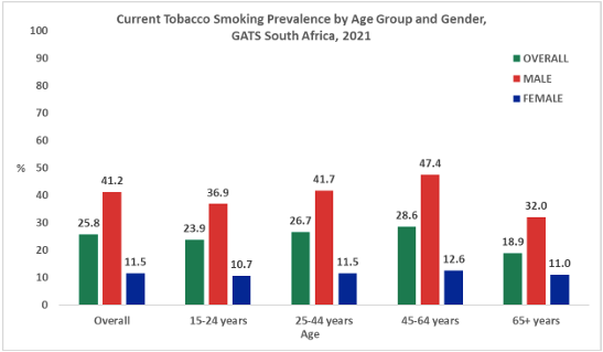 New smoking laws for South Africa coming – as almost a third of all adults  light up every day – BusinessTech