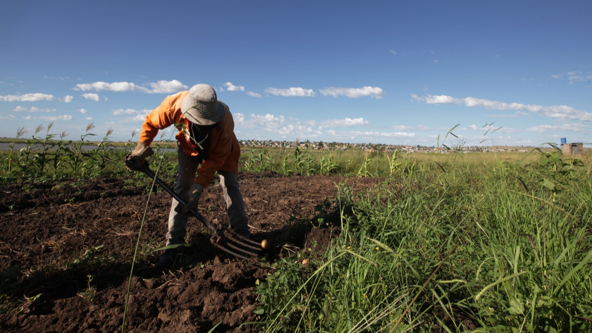 Extreme weather hitting South Africa’s farmers