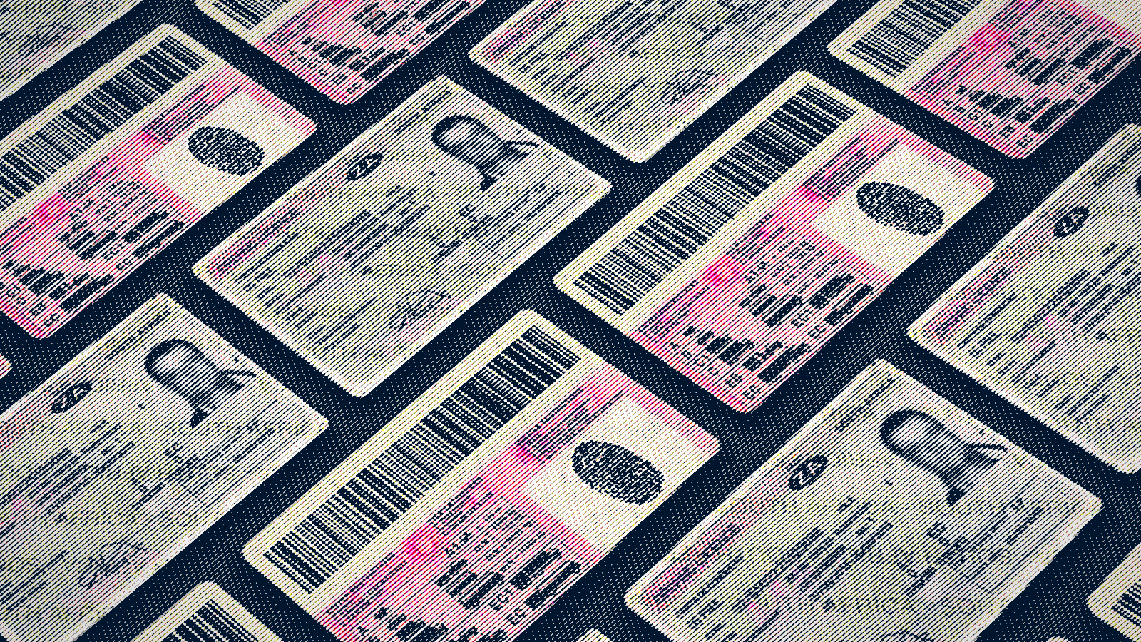 7-day warning for anyone using their driving licence as ID in South Africa